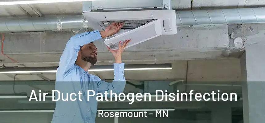Air Duct Pathogen Disinfection Rosemount - MN