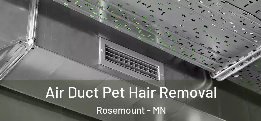 Air Duct Pet Hair Removal Rosemount - MN