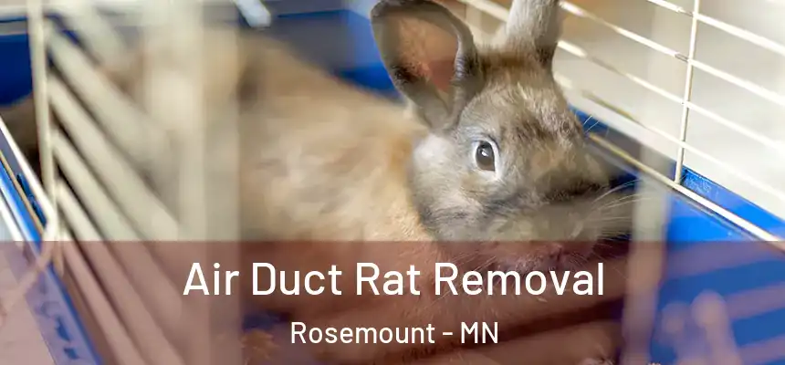 Air Duct Rat Removal Rosemount - MN