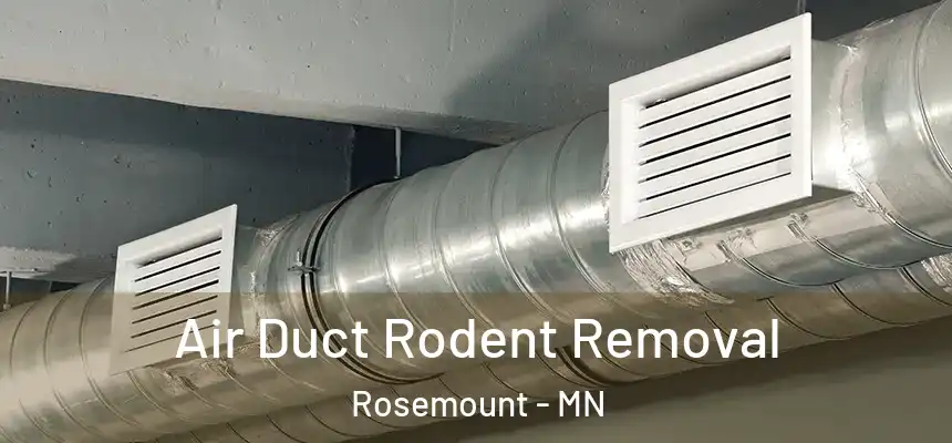  Air Duct Rodent Removal Rosemount - MN
