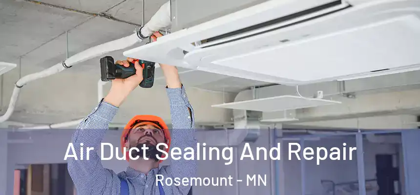 Air Duct Sealing And Repair Rosemount - MN