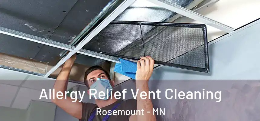  Allergy Relief Vent Cleaning Rosemount - MN