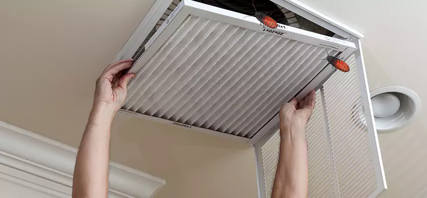 Preventive Cockroach-Proofing for Ducts in Rosemount