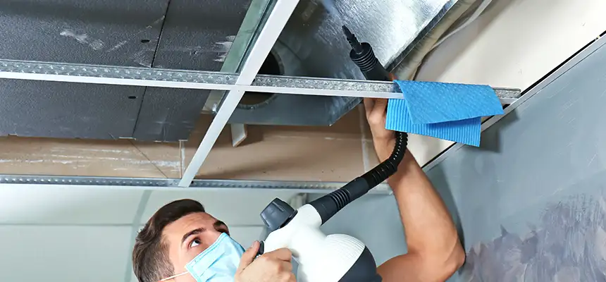 Our Air Duct Rodent Removal Services in Rosemount, MN