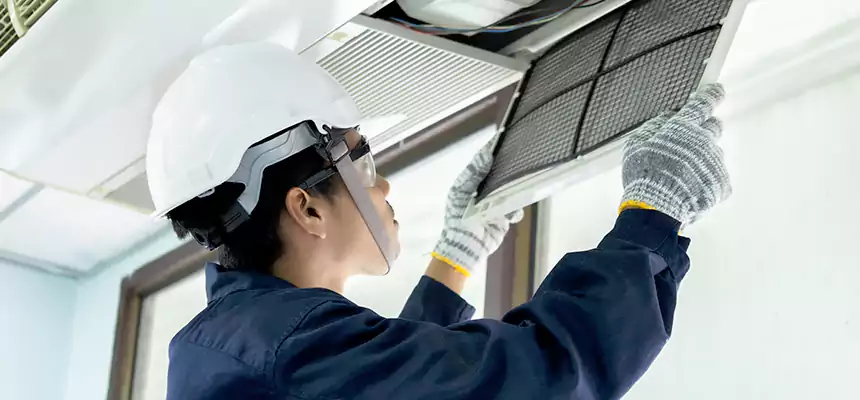 Our Mold & Mildew Removal from Air Ducts Services in Rosemount, MN