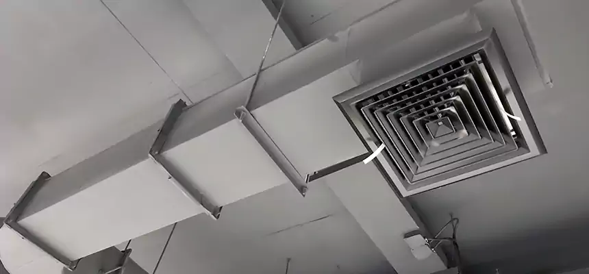 Our Pest Removal From Ducts Services in Rosemount, MN