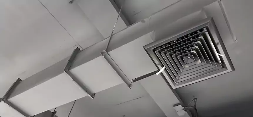 Our Rodent Droppings In Vents Services in Rosemount, MN