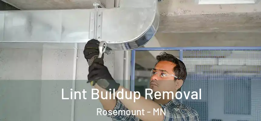 Lint Buildup Removal Rosemount - MN