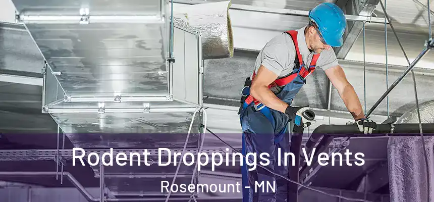  Rodent Droppings In Vents Rosemount - MN