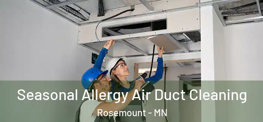 Seasonal Allergy Air Duct Cleaning Rosemount - MN