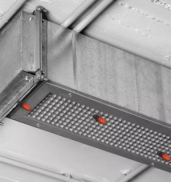 About Air Duct Cockroach Removal in Rosemount, MN