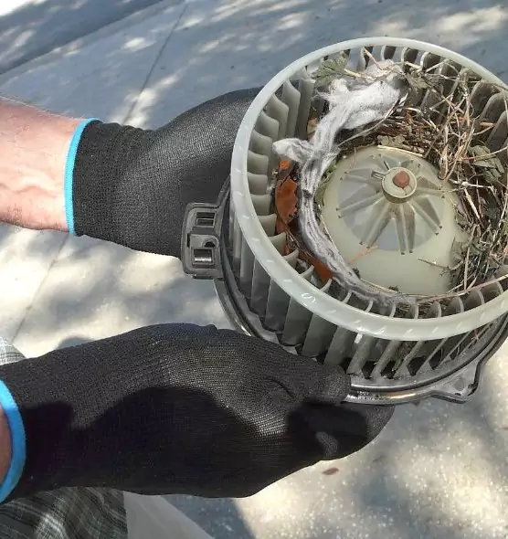 About Air Duct Mice Removal in Rosemount, MN