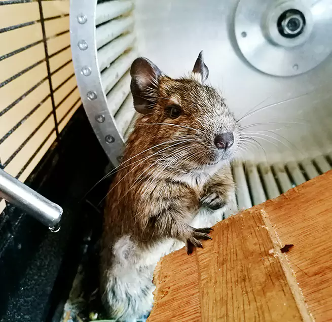 Why Homeowners & Businesses Trust Us Rosemount, MN?